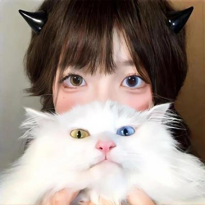 凶猫