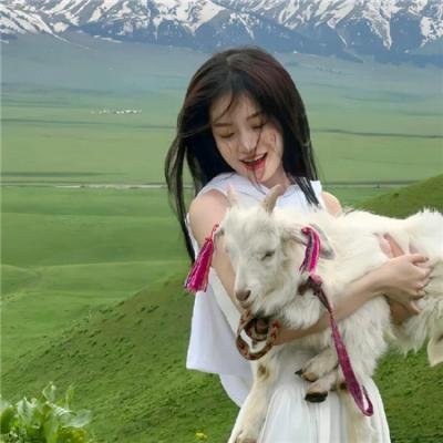 亲爱的独裁者